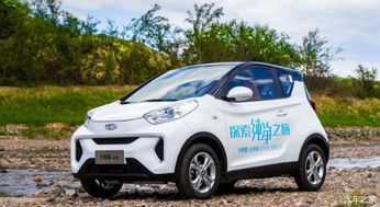 补贴退坡之后,曾经称霸的微型纯电动汽车还能 稳住 吗